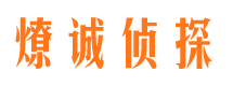 东兰市调查公司